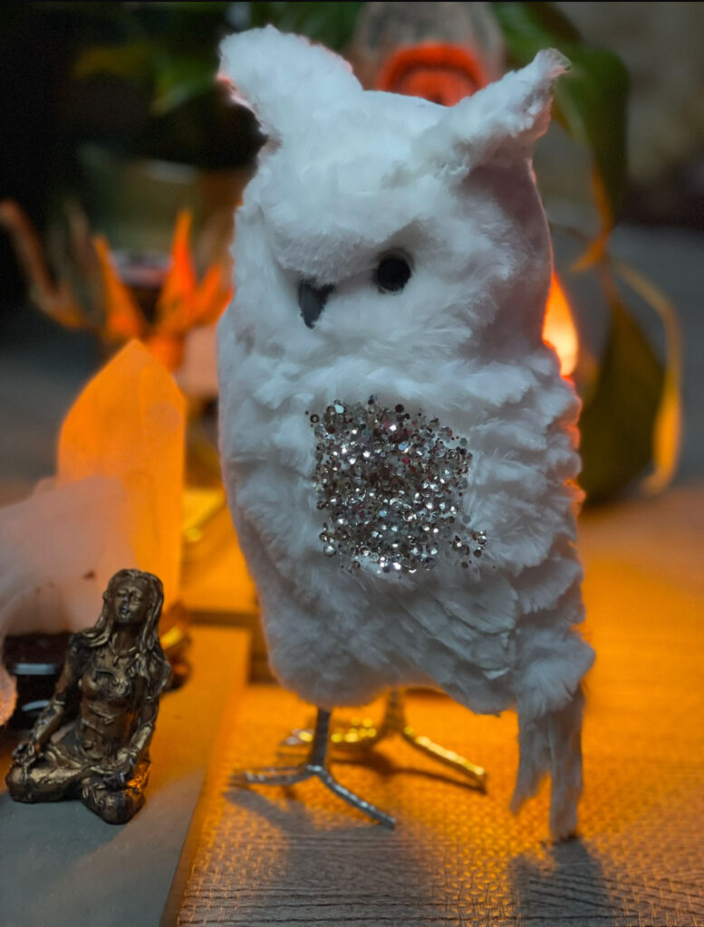 Divine_Elemental_Owl_Spirit_Animal